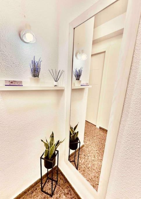 Citadella Apartment Sagunto Esterno foto