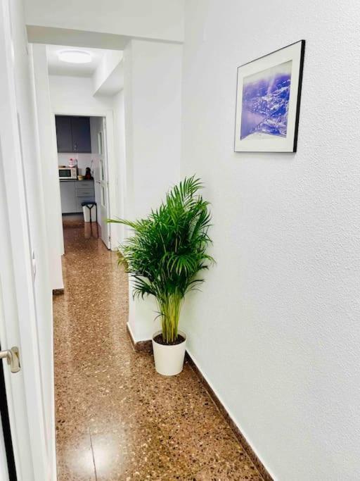 Citadella Apartment Sagunto Esterno foto